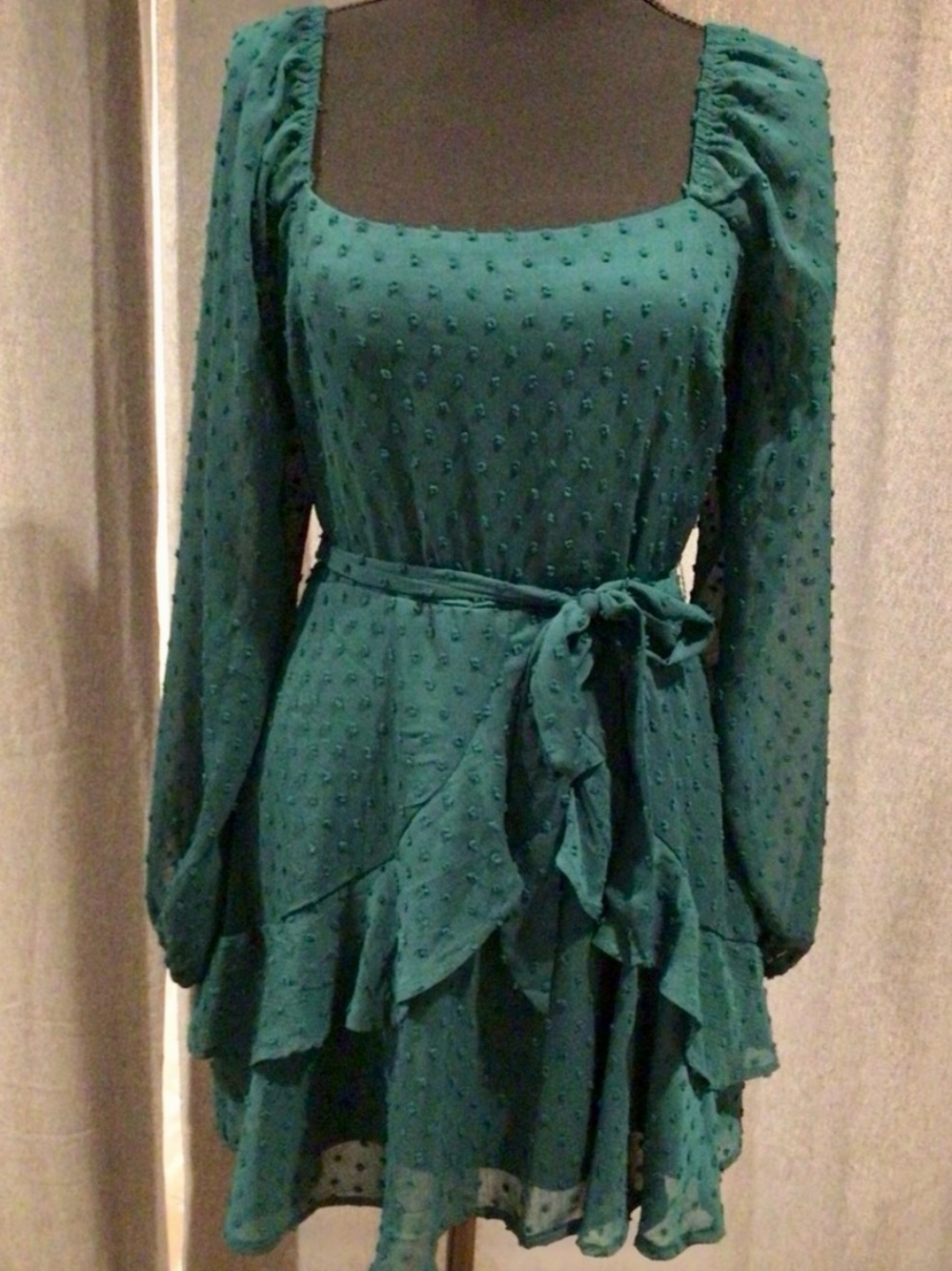 Teal Swiss Dot Long Sleeve Ruffle Dress